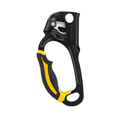 PETZL Ascension