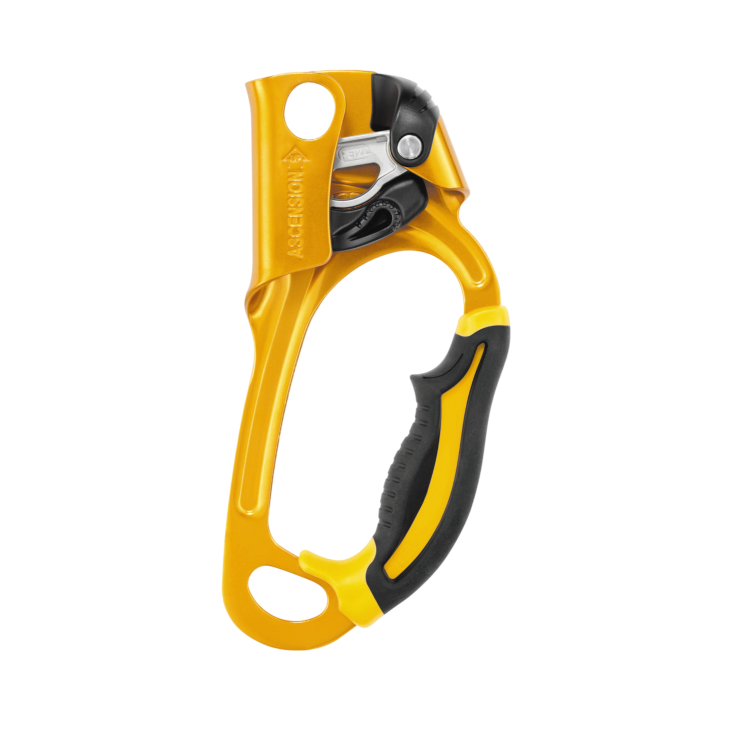 PETZL Ascension