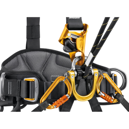 PETZL Astro Bod Fast European