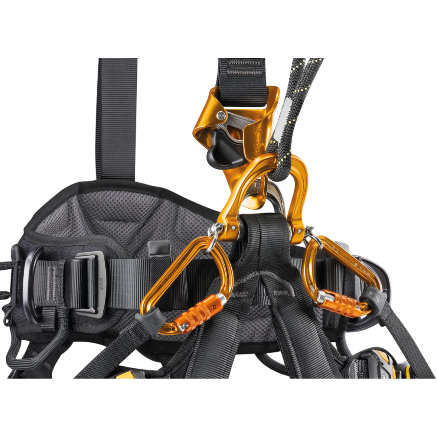 PETZL Astro Bod Fast