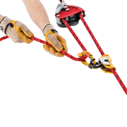 PETZL Maestro Descender