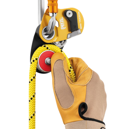 PETZL Mini Traxion